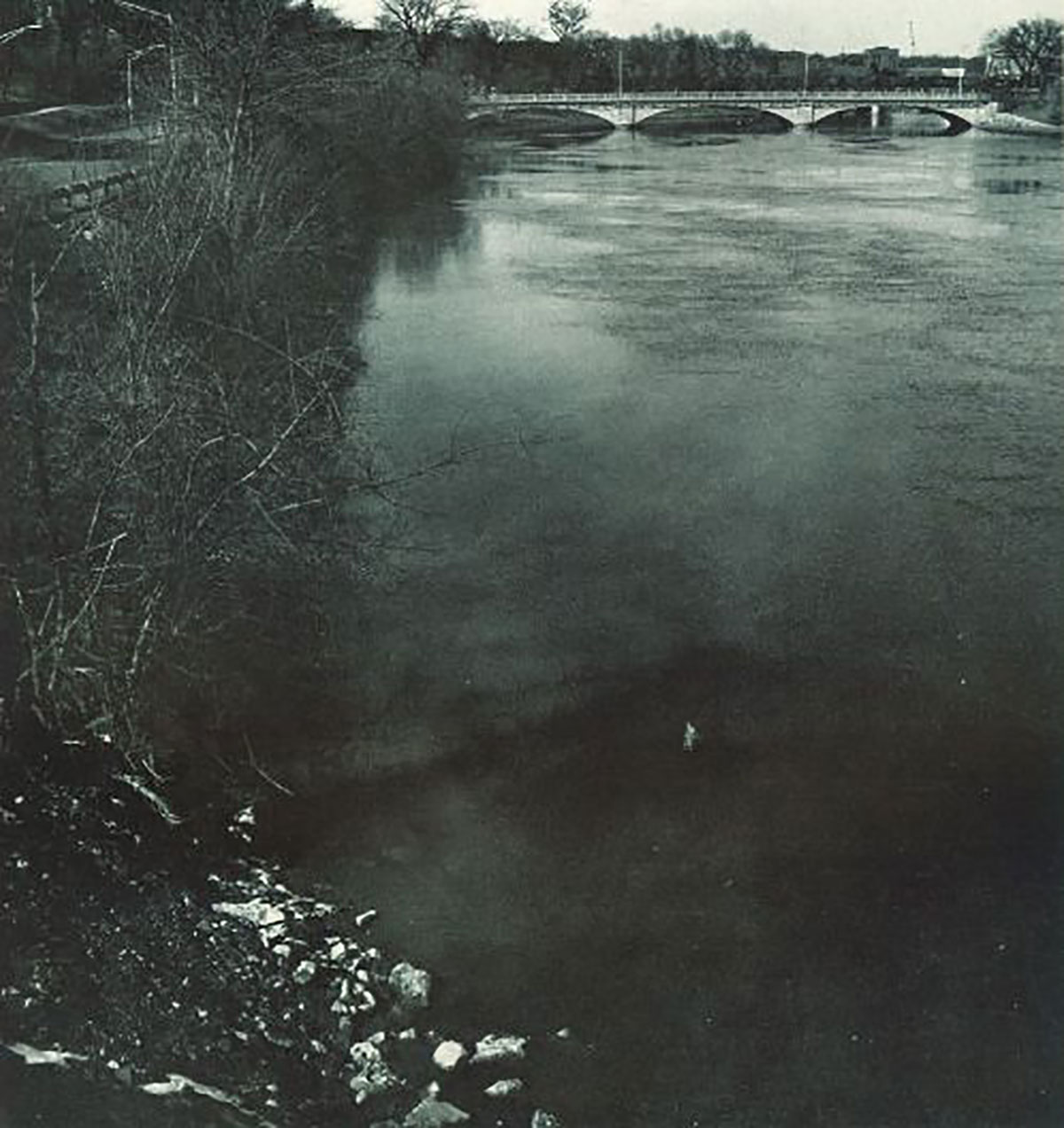 Debris collects on the banks of the Iowa River